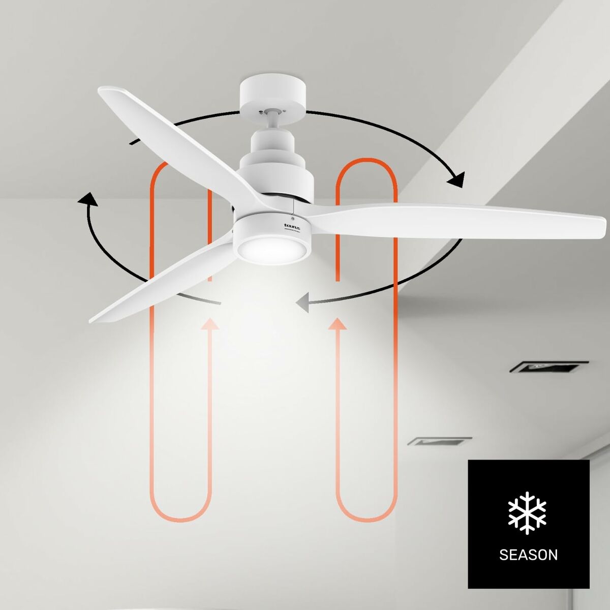 V2HCF401051882952F955C77AF9F545EE48R6760728P6