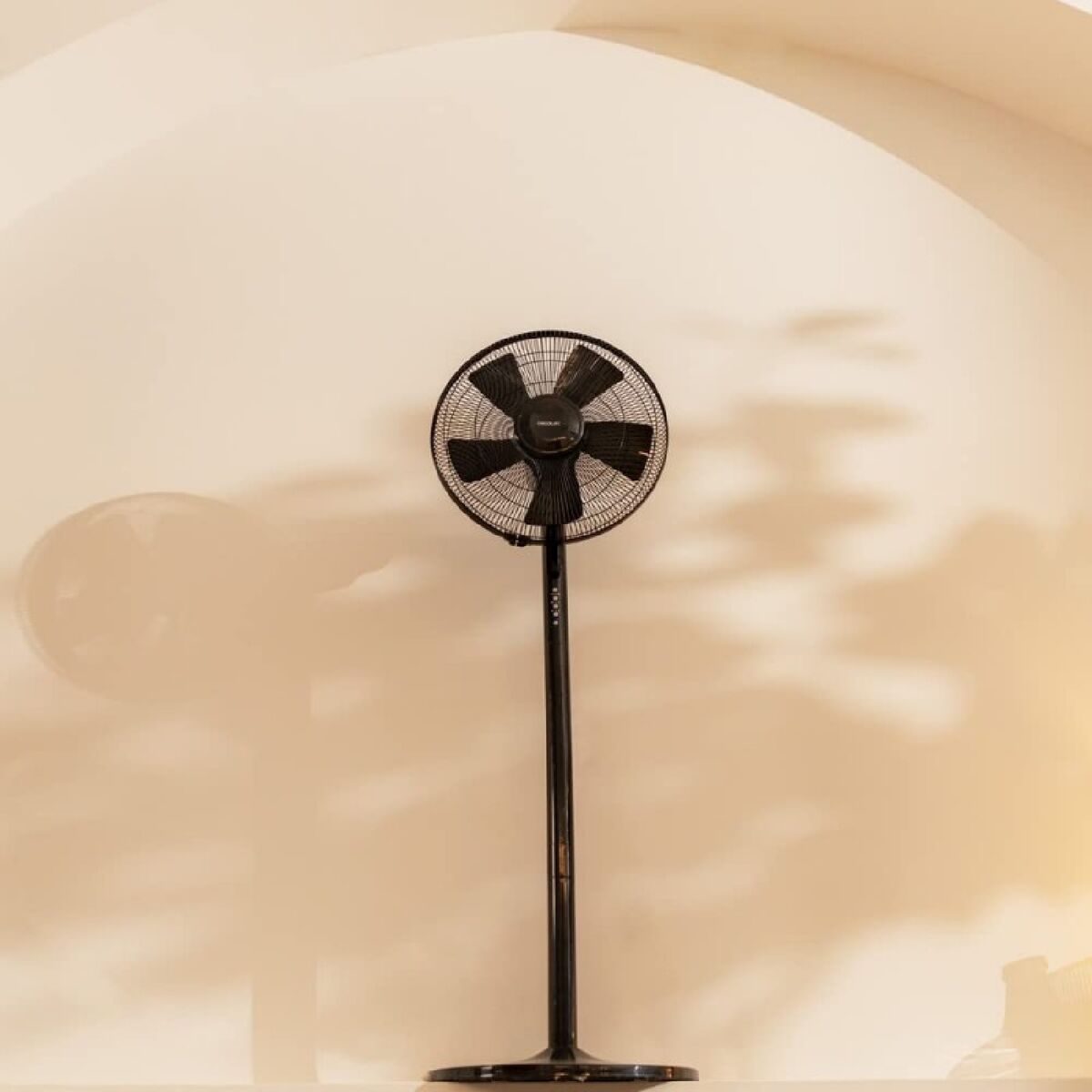 V4H95EAF5A901A3C347483EBDAA64A8BBA6R6937790P3