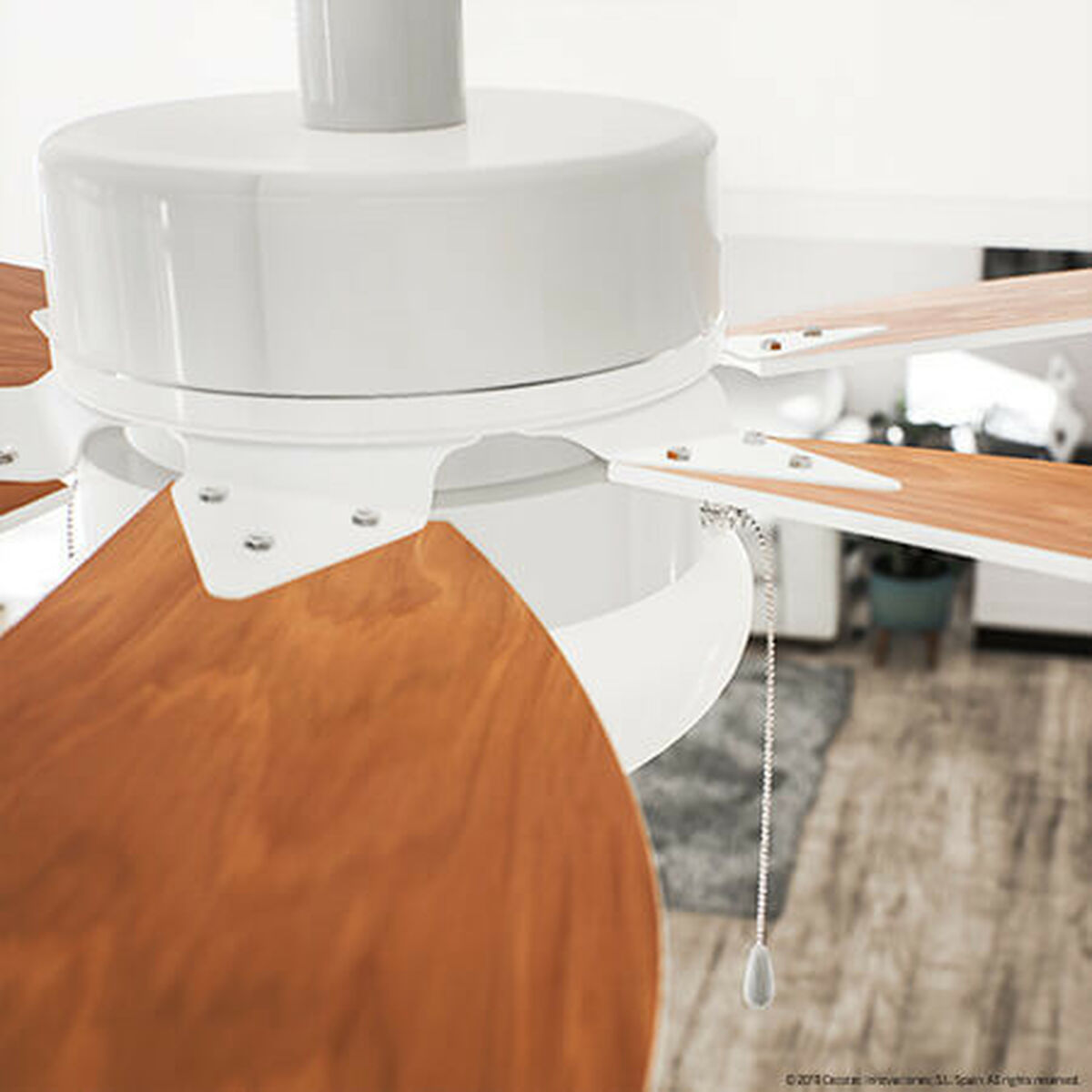 V13H0732AF5C07A2874B636E3B917578439CR3888263P2