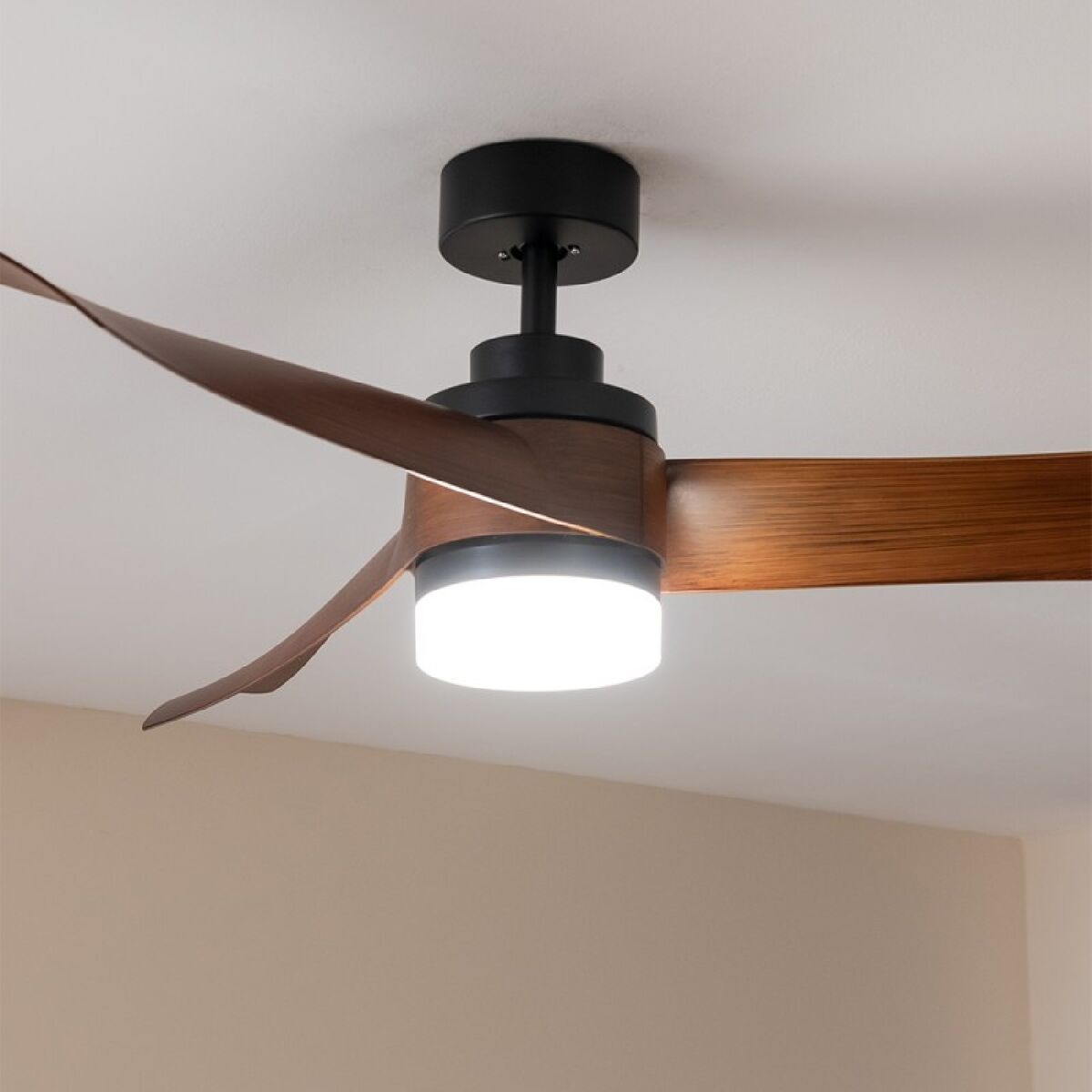 V2H899A67C99B2D565ABB8E64D4D1B9DE3ER6855088P2