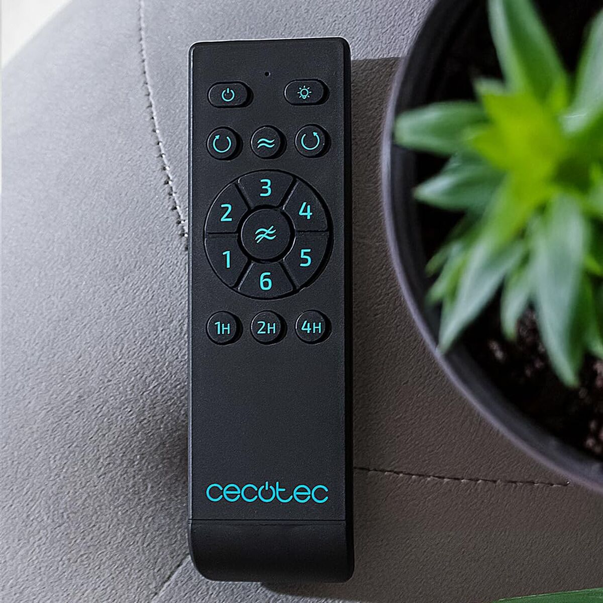 V2H9A40EF577AE38786ADE532958E80FDBER7649174P2