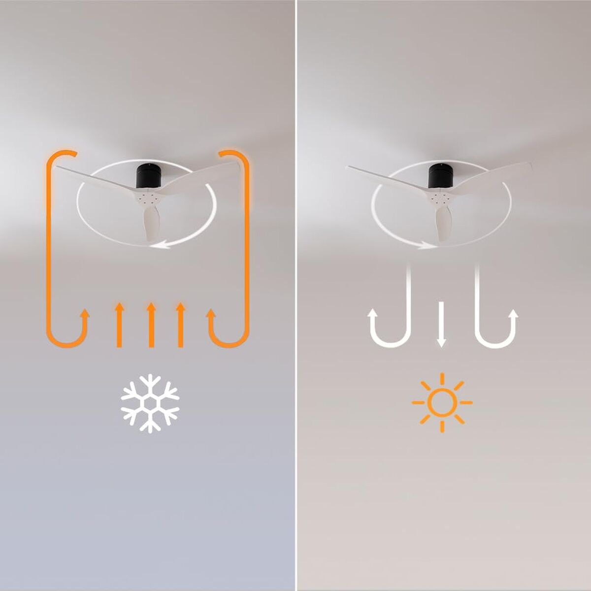 V2HA1B9E2BB4D1926F9CBFA5E89903FA1EFR7649192P5