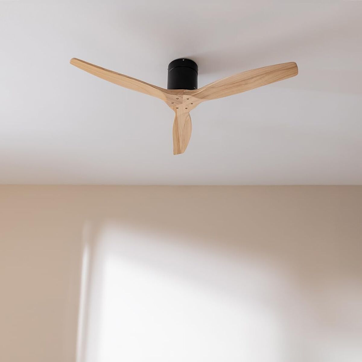 V2H1391B61C716B26B3AB2AD918384EB1F5R7649229P2