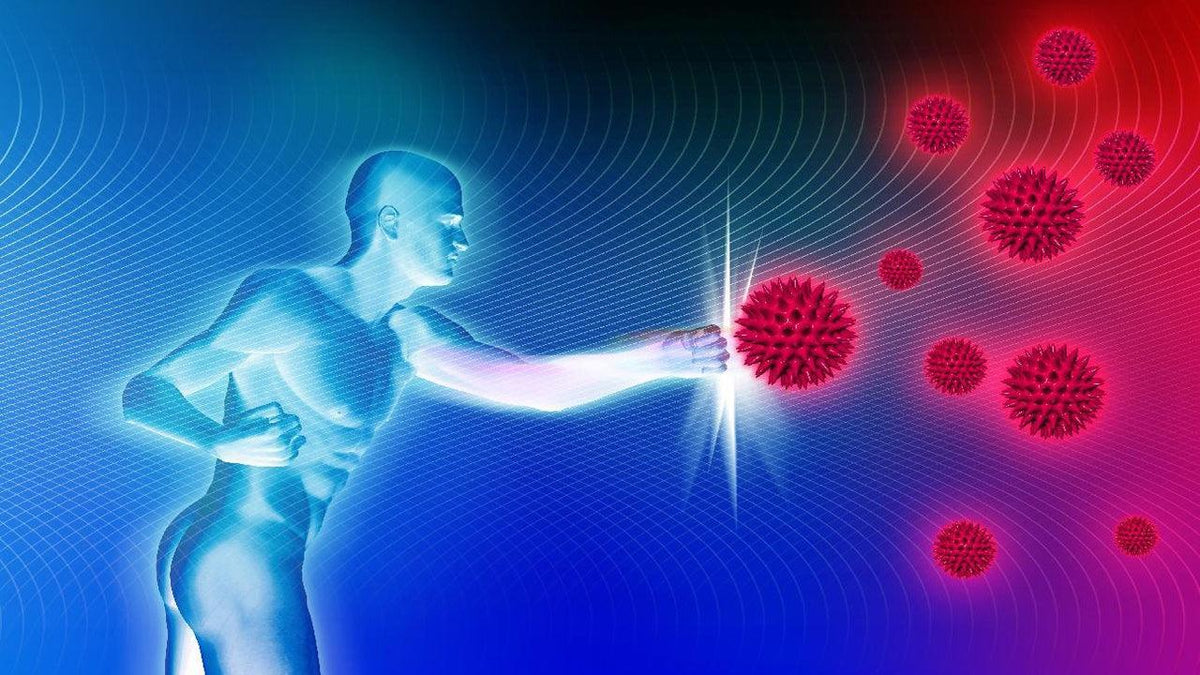 Come proteggere il nostro sistema immunitario - LoComproIo.com