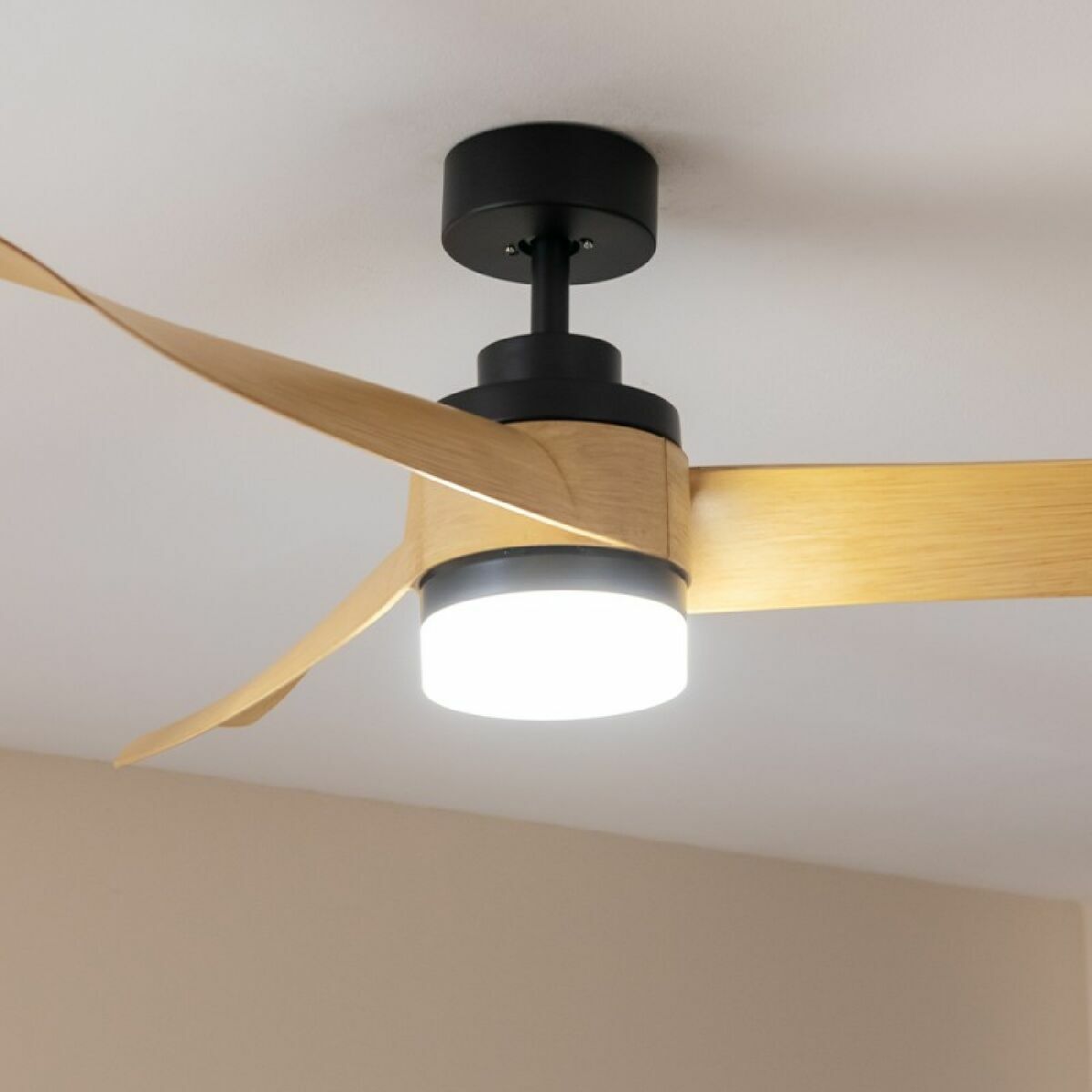 V2H626CE32A498E661E238C94FA3FDAF584R6855037P2